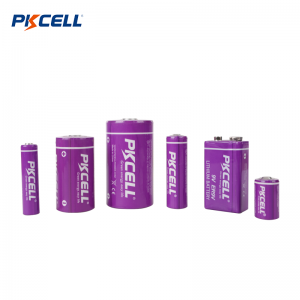 PKCELL ER18505 3.6v 4000mAh LI-SOCL2 배터리 공장