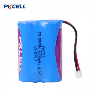 PKCELL ER18505M A 3,6 V 3200 mAh LI-SOCL2 batterij / batterijpakket Leverancier