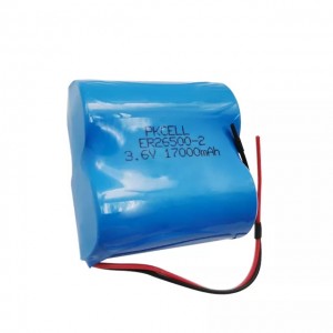 PKCELL Customized ER26500 C 3.6V 17000mAh LI-SOCL2 Battery Packs